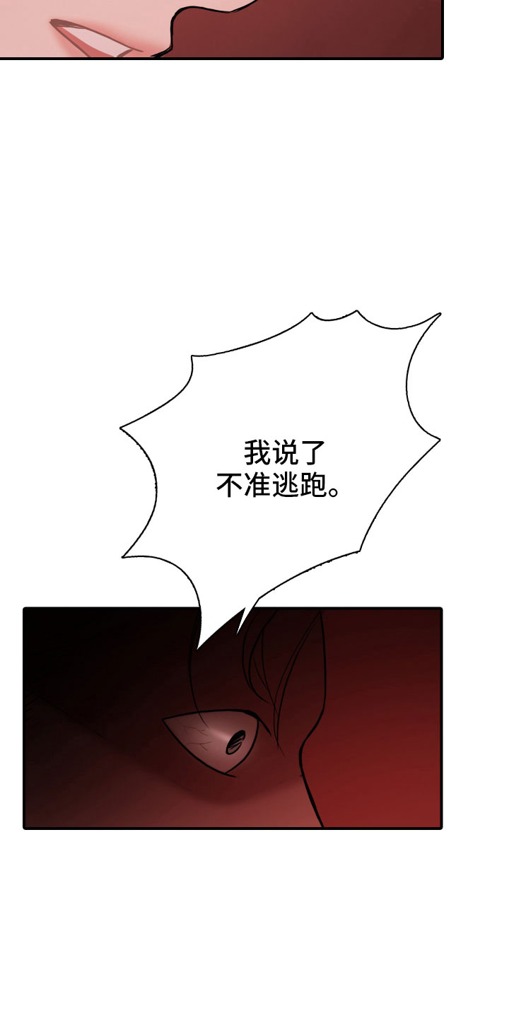 笼中鸟幸福辩论观点是什么漫画,第31话2图