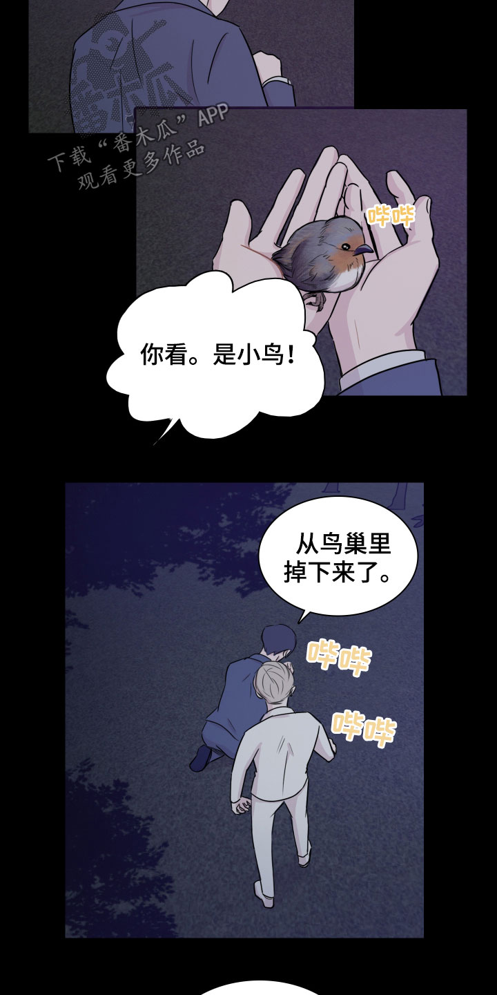 笼中鸟电影免费观看漫画,第12话2图