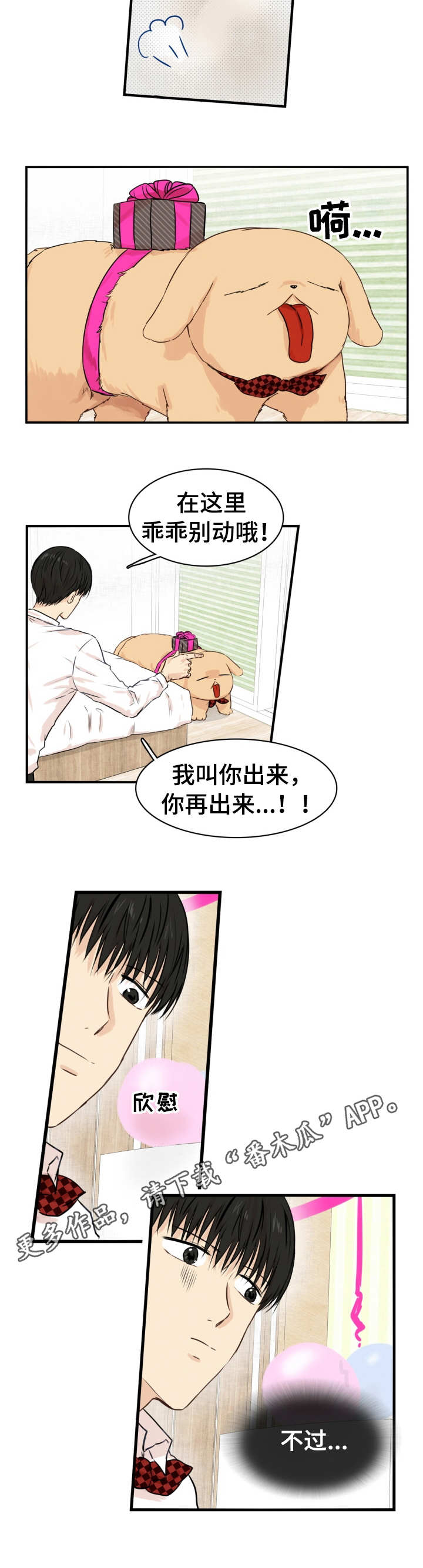 灵羊至精丹参蛤胶囊的功效与作用漫画,第24章：礼物2图