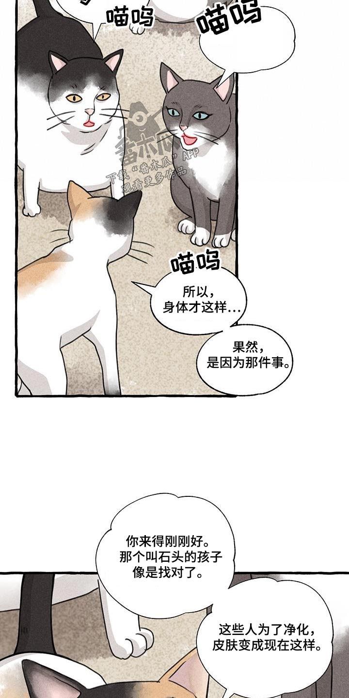 缠论一二三类买卖点图解漫画,第175话2图