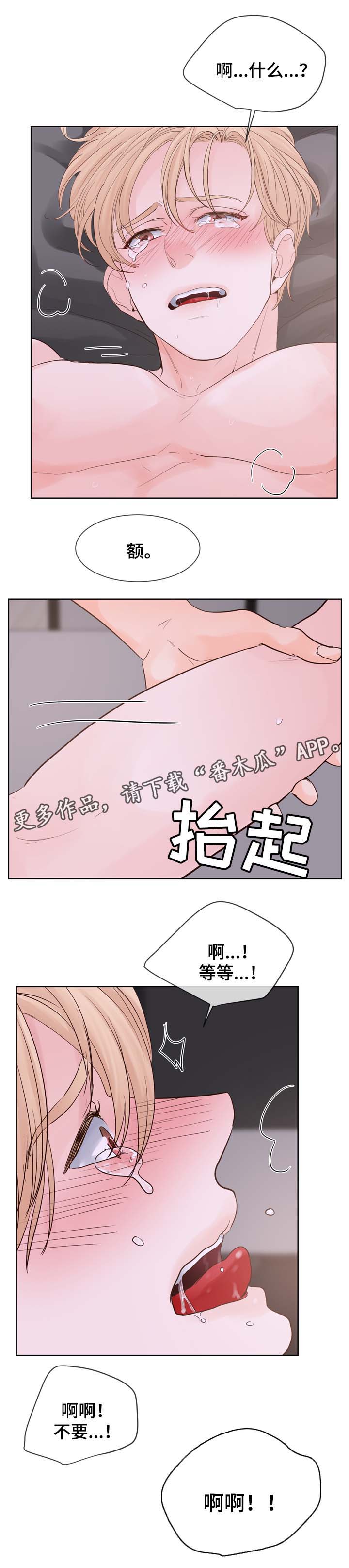 朱罗记窑鸡漫画,第93章：成结标记1图