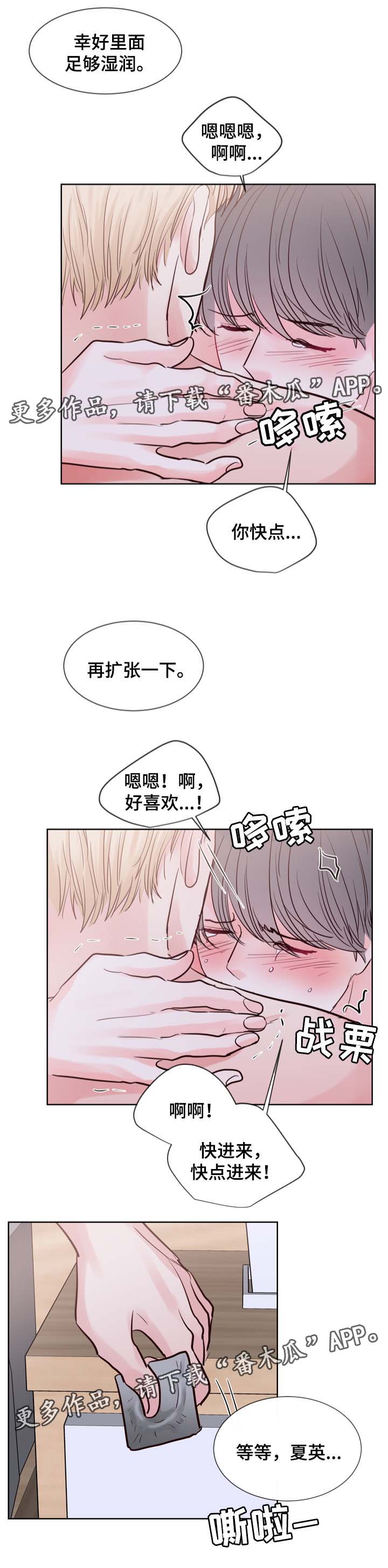 朱罗家族62话在线阅读漫画,第80章：开始干活2图