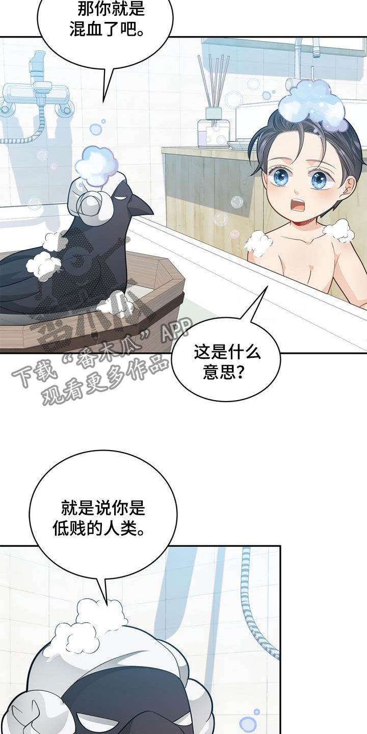 偷心画师大结局漫画,第73话1图