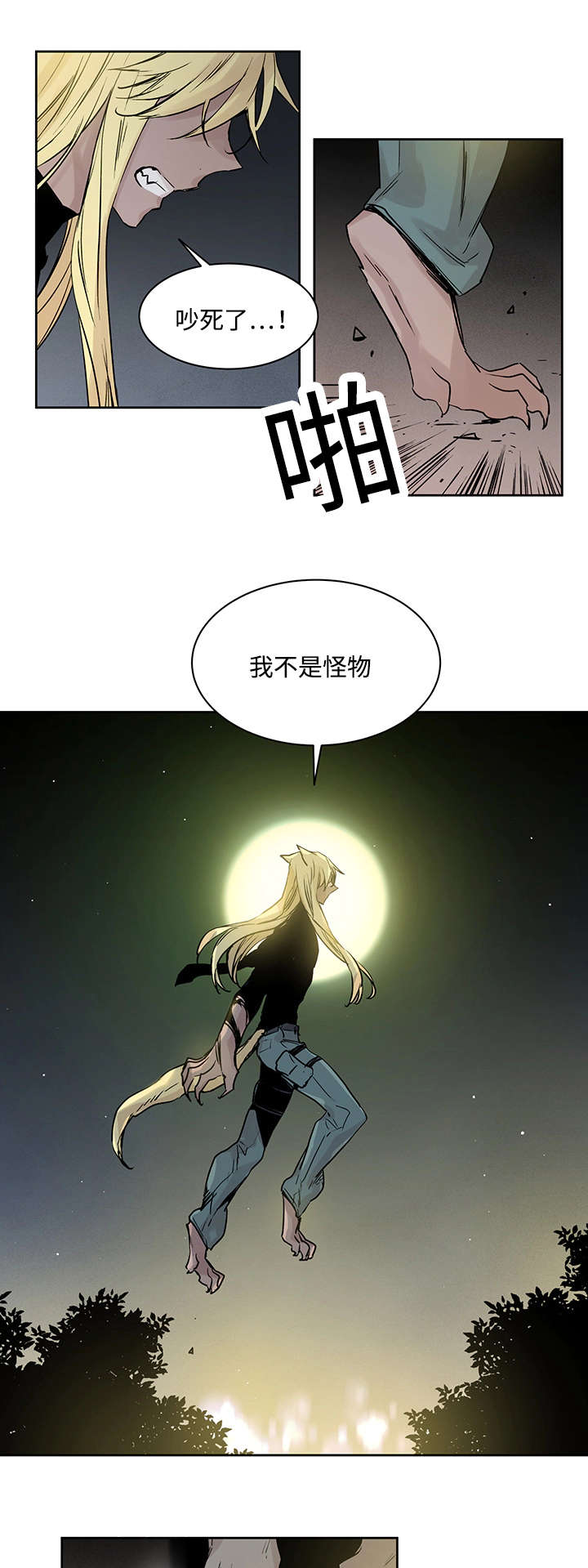 巫师与猫动画片中文漫画,第4章：世界树果实1图
