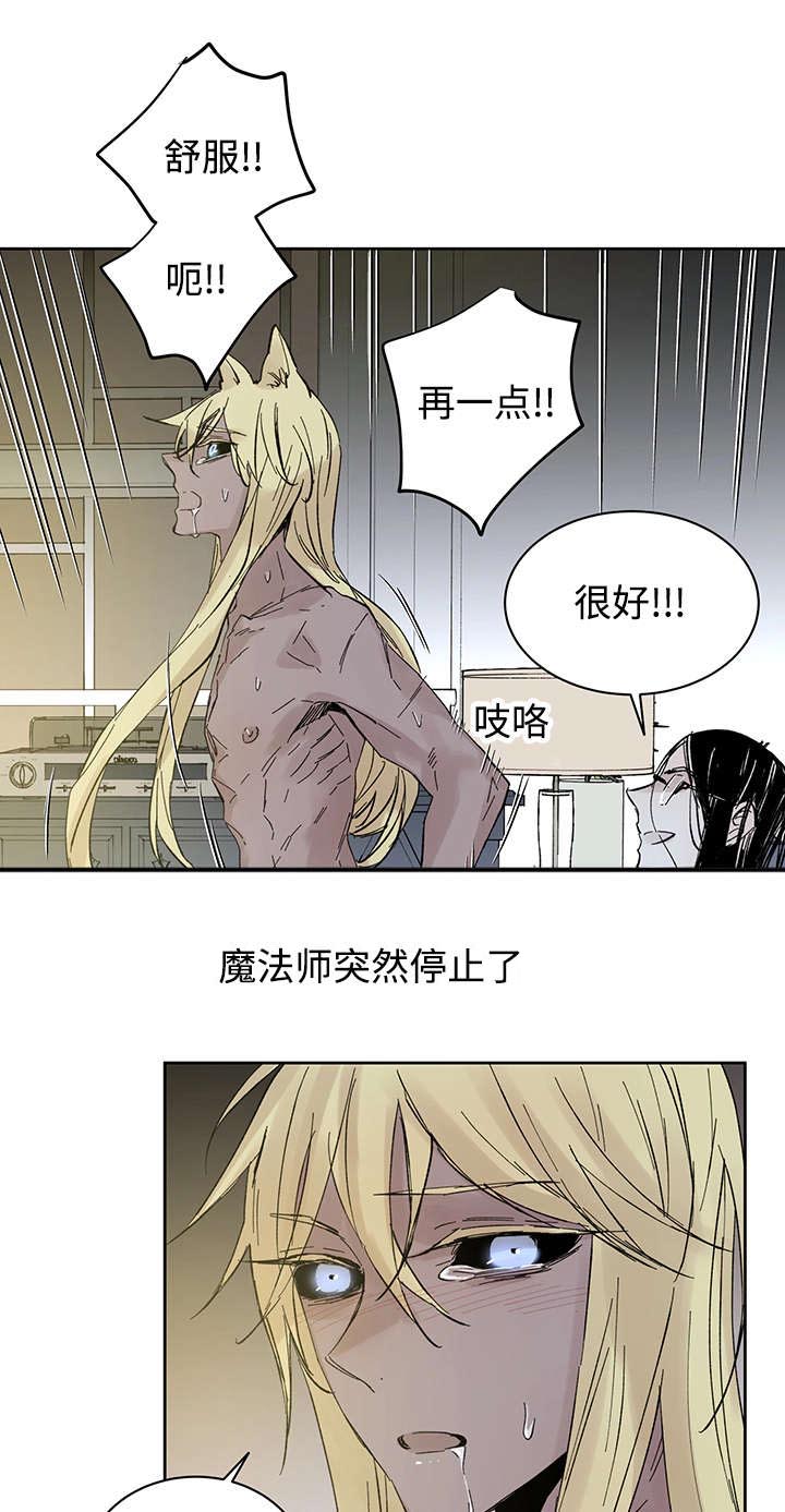 巫师与猫英语绘本怎么样漫画,第28章：失去理性1图
