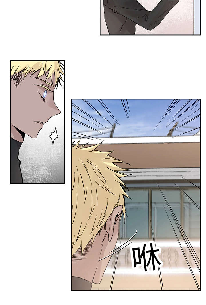 巫师与猫英语绘本怎么样漫画,第18章：发觉2图
