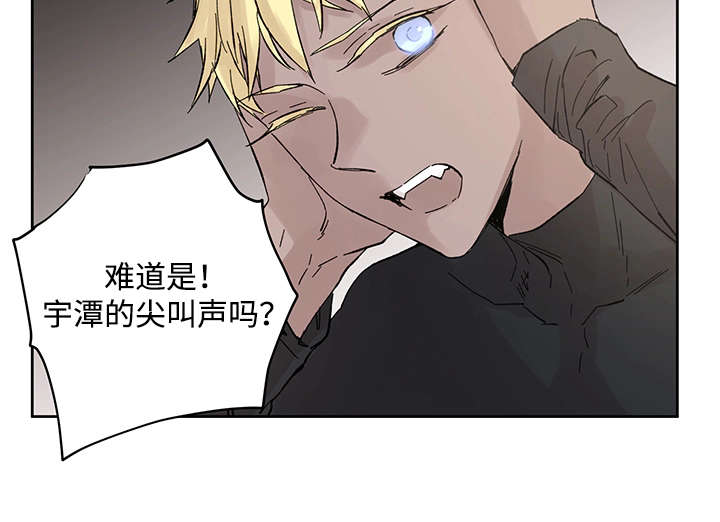 巫师与狼的漫画免费阅读漫画,第19章：直觉2图