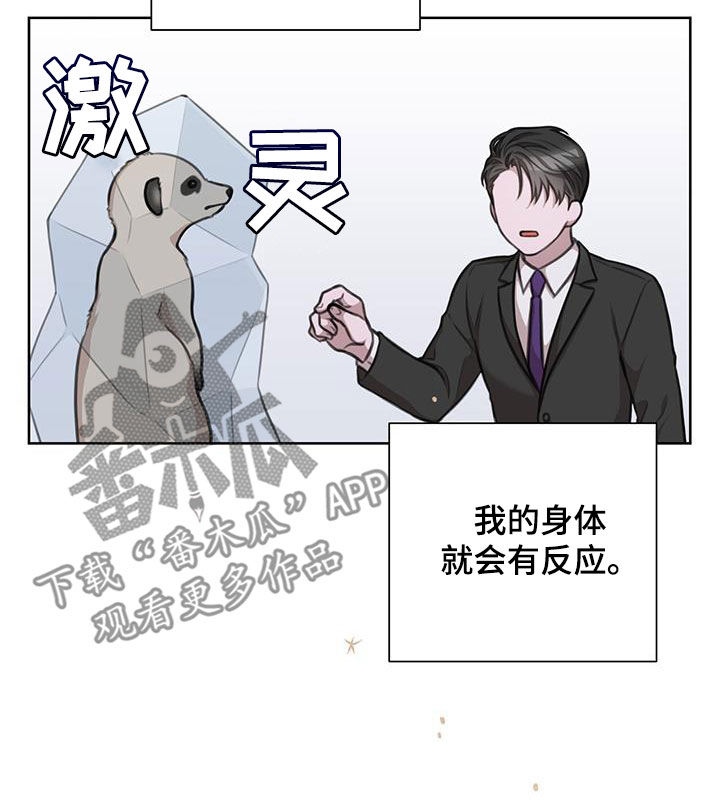霸总的秘密女友小说漫画,第37话1图