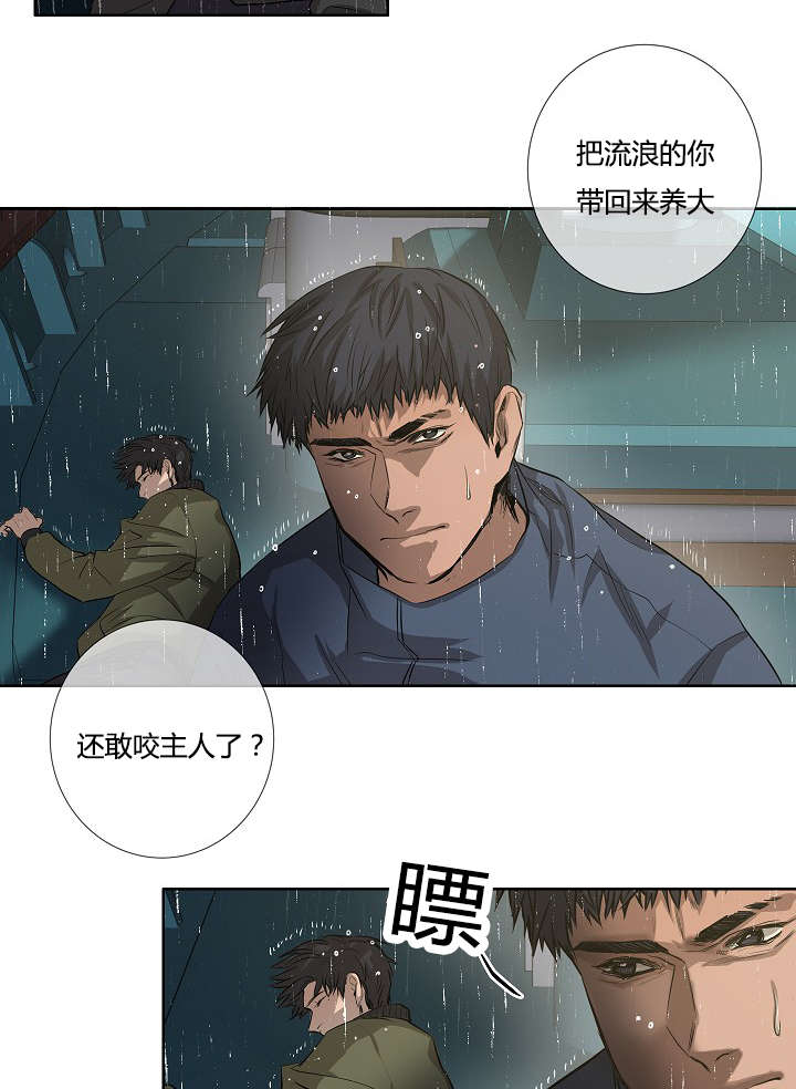 间谍中的间谍漫画,第39章：最后的战斗（下）2图