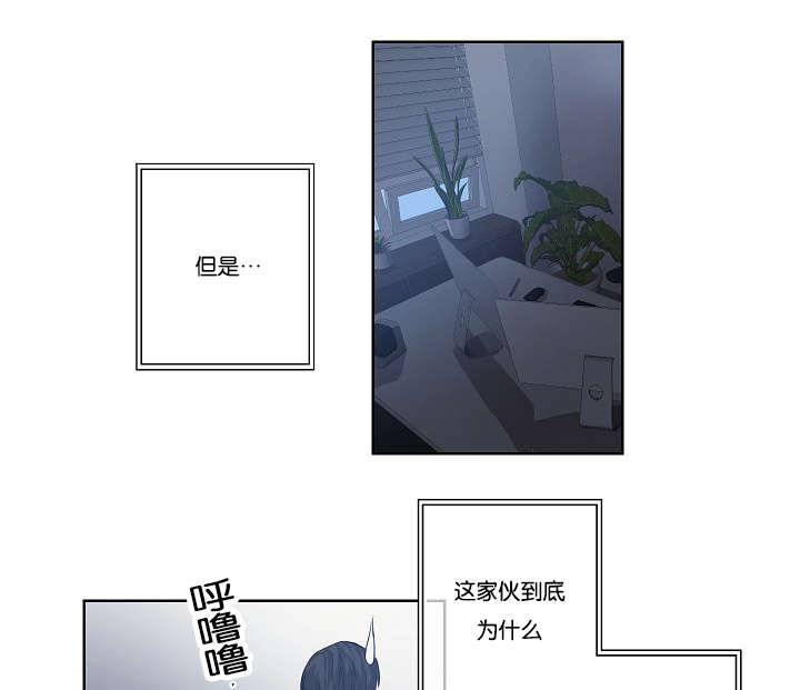 间谍救汉奸漫画,第29章：到底为什么1图