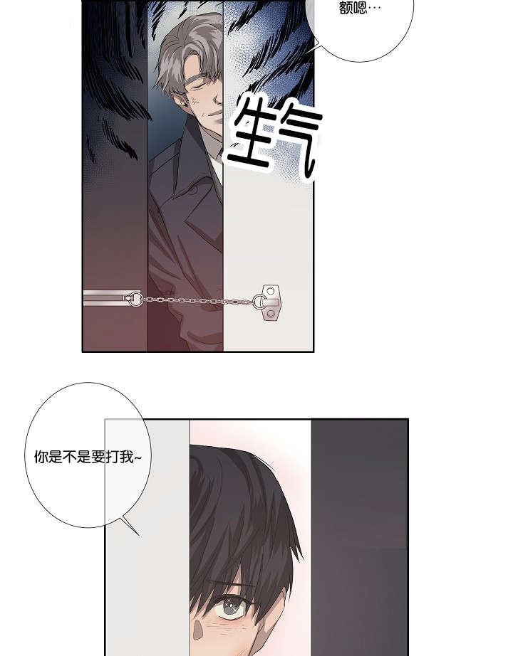 间谍樱花动漫在线观看漫画,第35章：发现可疑之处2图