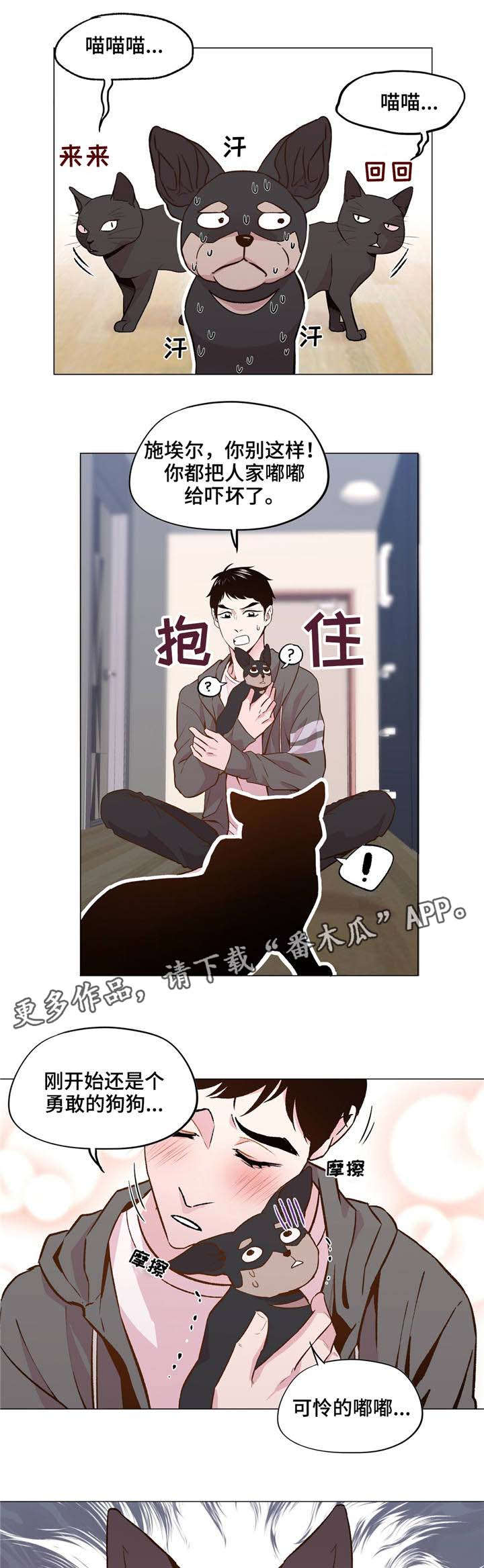 最终选择乐队漫画,第30章：一直被欺负2图