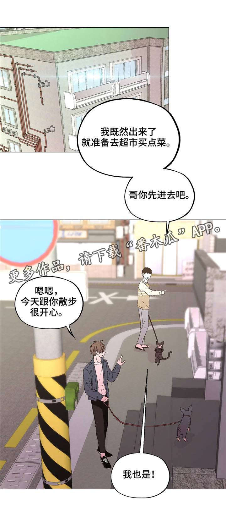 最佳选择的意思是什么漫画,第37章：一切都变了1图