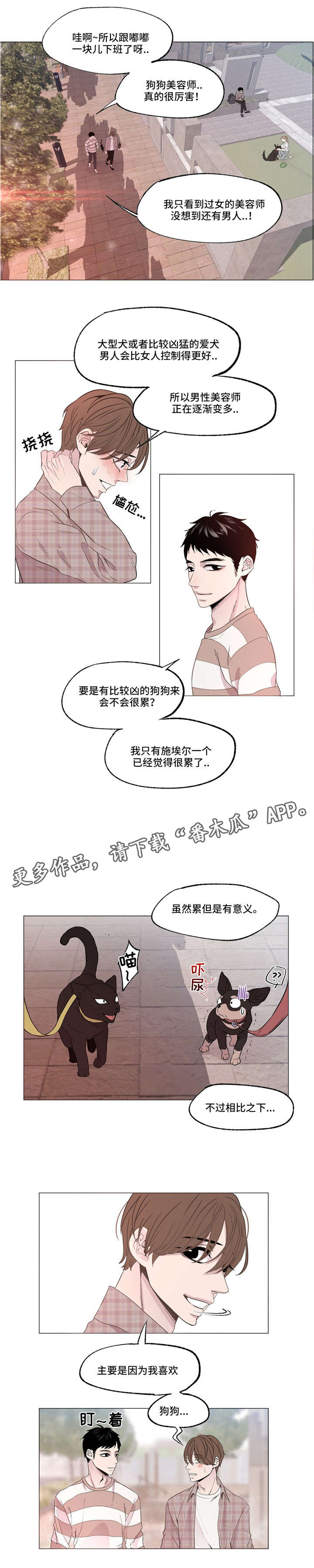 最终挑战和普通有区别吗漫画,第4章：小说家1图