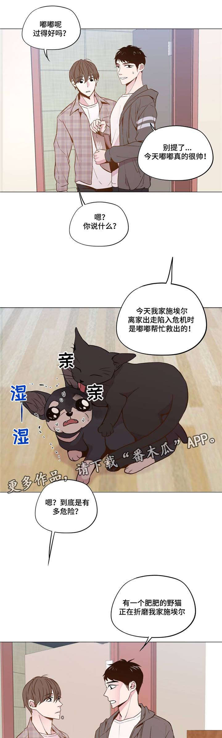 最终选择小说漫画,第31章：和睦相处1图