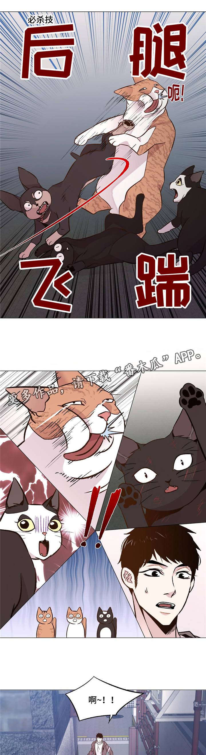 最终的选择作文600字漫画,第31章：和睦相处1图