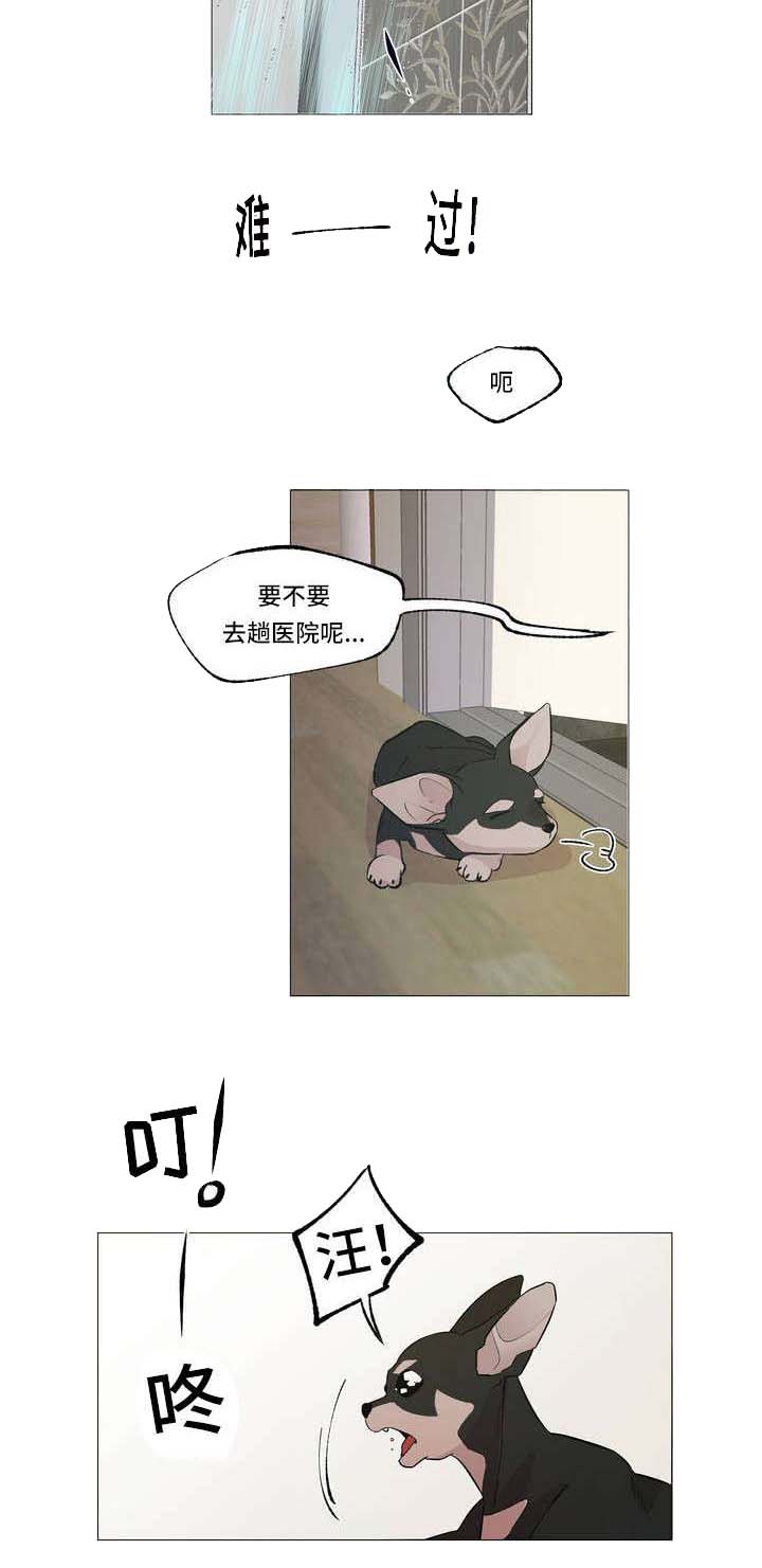 最终抉择怎么选漫画,第1章：邻居1图