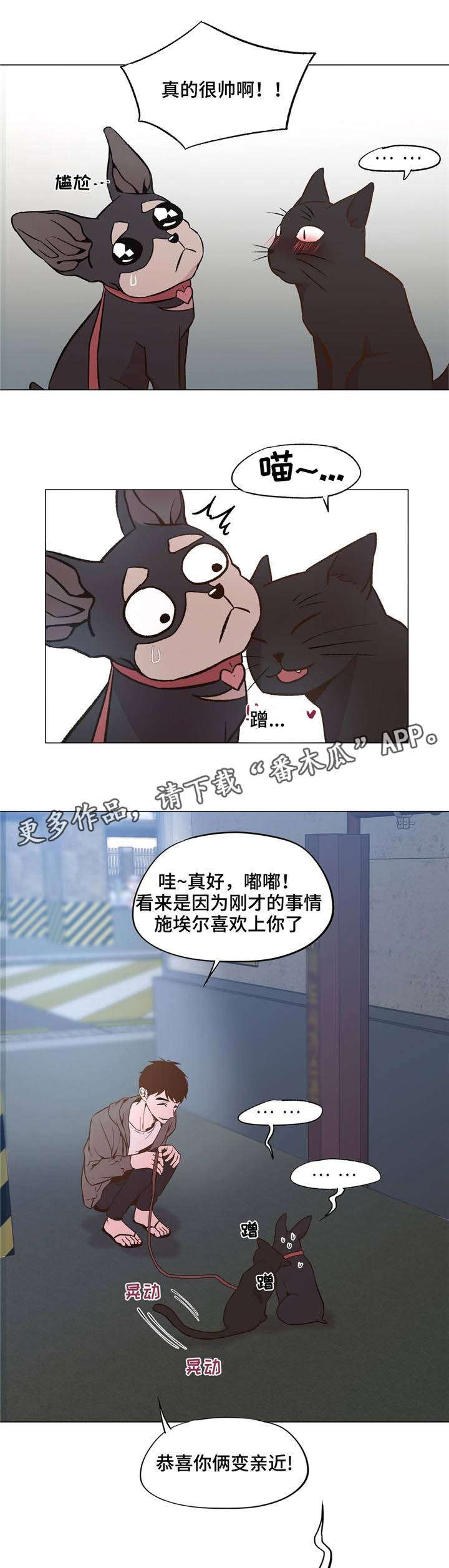 最终选择小说漫画,第31章：和睦相处1图