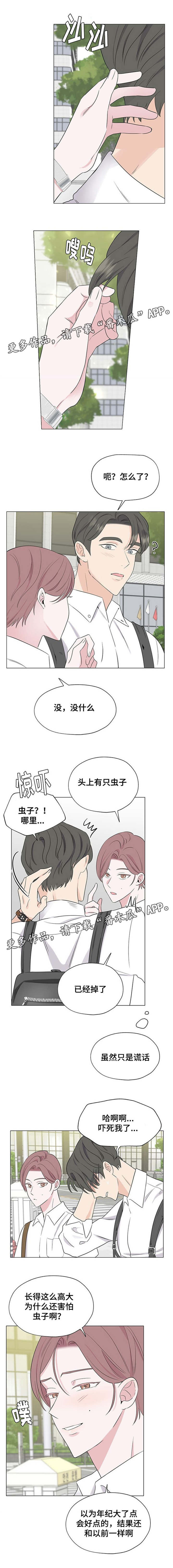 消融电极生产厂家漫画,第17章：这是什么1图