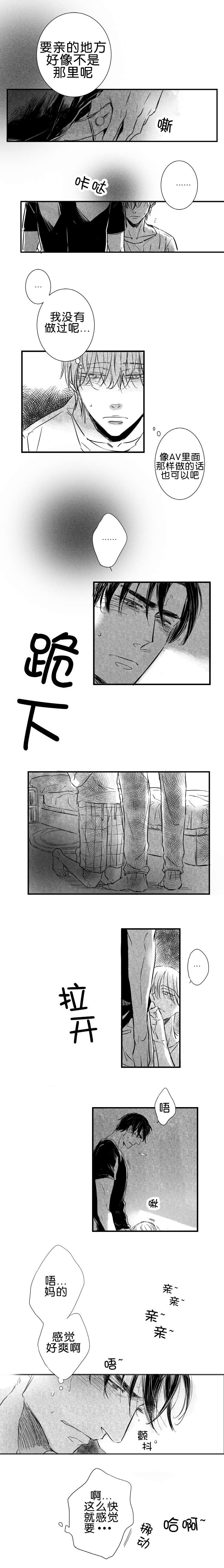 如狼似虎吗漫画,第21章：实施2图