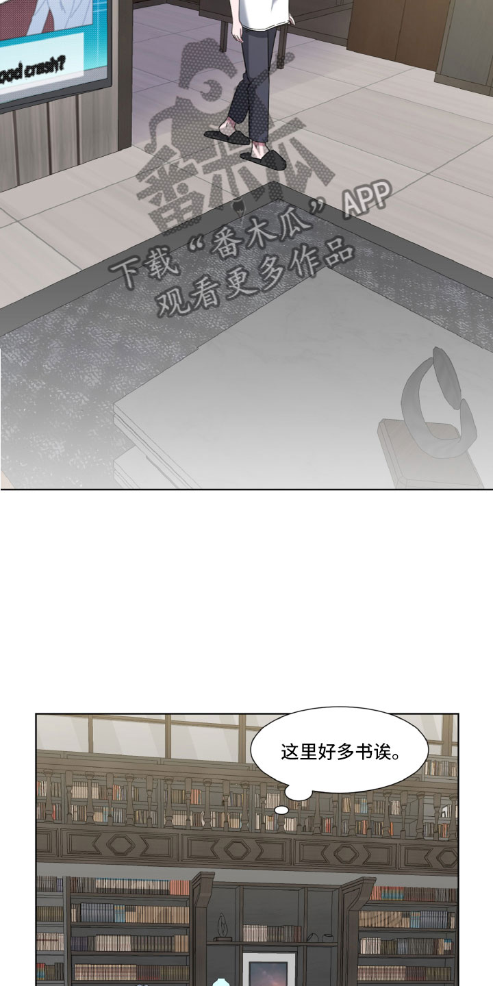特别授权委托书怎样写漫画,第11话1图