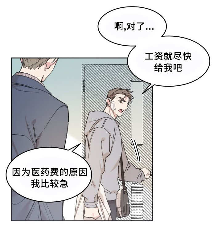 猫的项圈怎么戴漫画,第39章：情敌见面2图