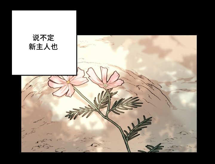 猫的项圈漫画,第50章：大结局1图