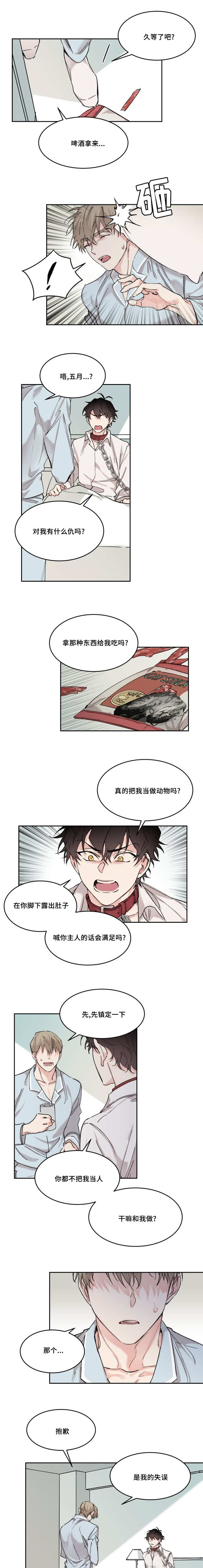 猫的项圈解说漫画,第16章：要负责啊2图