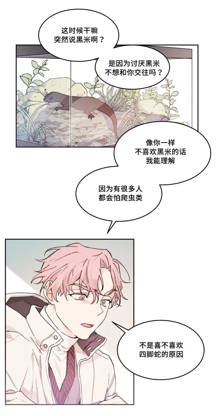 猫的项圈应该怎么戴漫画,第45章：你的爱人2图