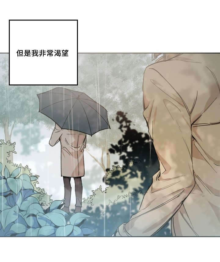 猫的英文漫画,第50章：大结局1图