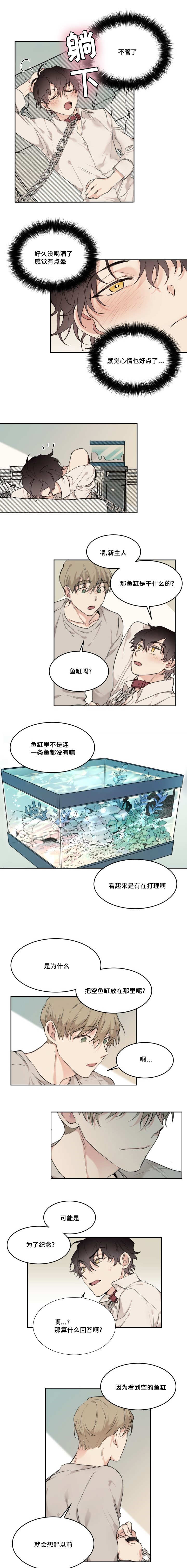 猫的项圈漫画,第22章：在干什么1图