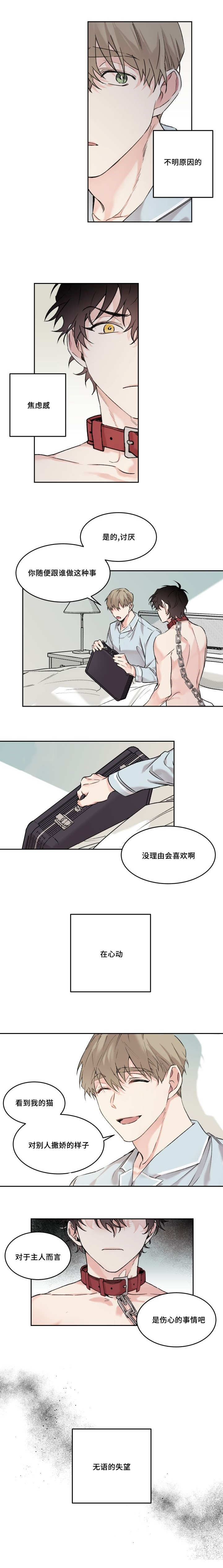 猫的项圈怎么摘出来漫画,第15章：不记得我1图