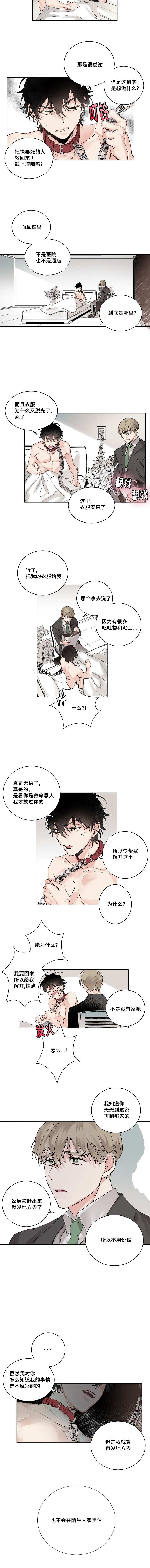 猫的项圈漫画,第2章：不记得我吗2图