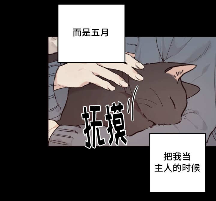 猫的项圈漫画,第35章：被谁抢走了1图