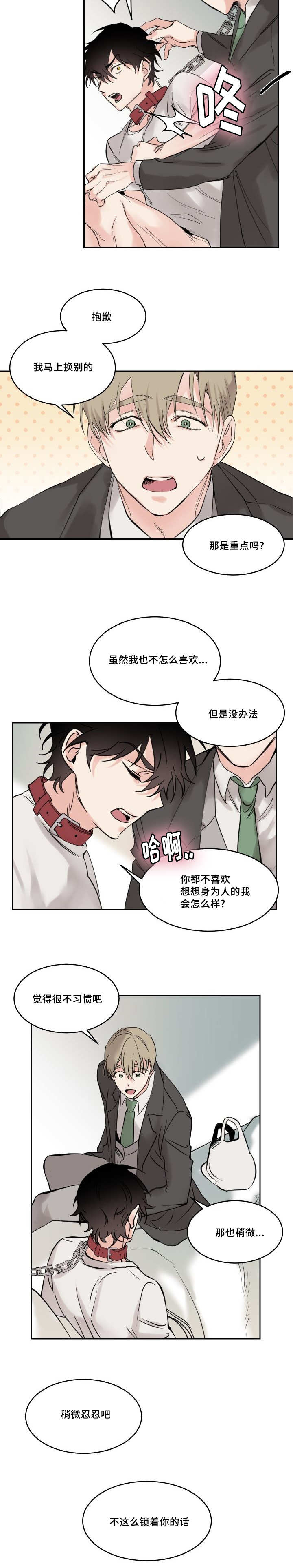 猫的项圈漫画免费观看漫画,第5章：稍微忍忍吧2图