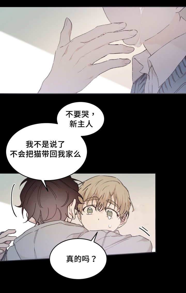 猫的项圈漫画,第46章：只是羡慕2图