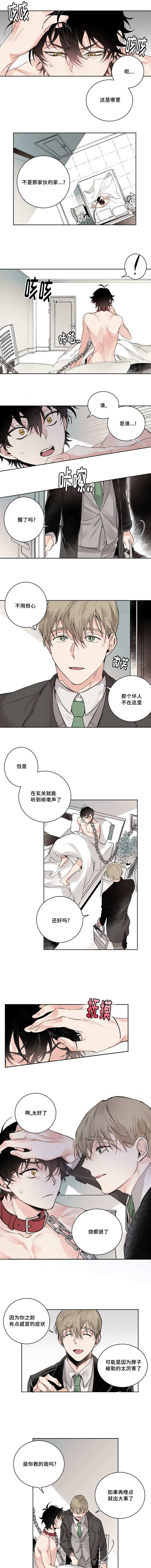 猫的项圈漫画,第2章：不记得我吗1图