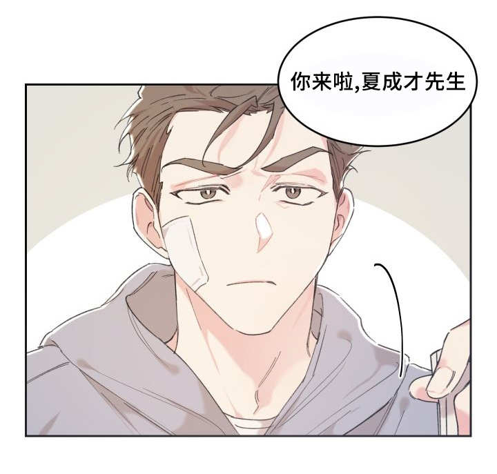 猫的项圈怎么戴漫画,第39章：情敌见面1图