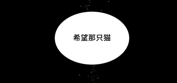 猫的项圈漫画,第46章：只是羡慕1图