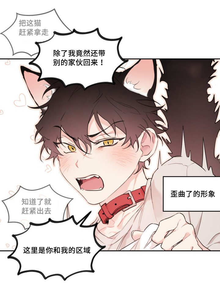 猫的项圈漫画,第28章：生气了吗1图