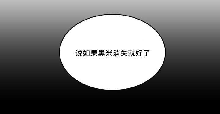 猫的项圈应该怎么戴漫画,第45章：你的爱人1图