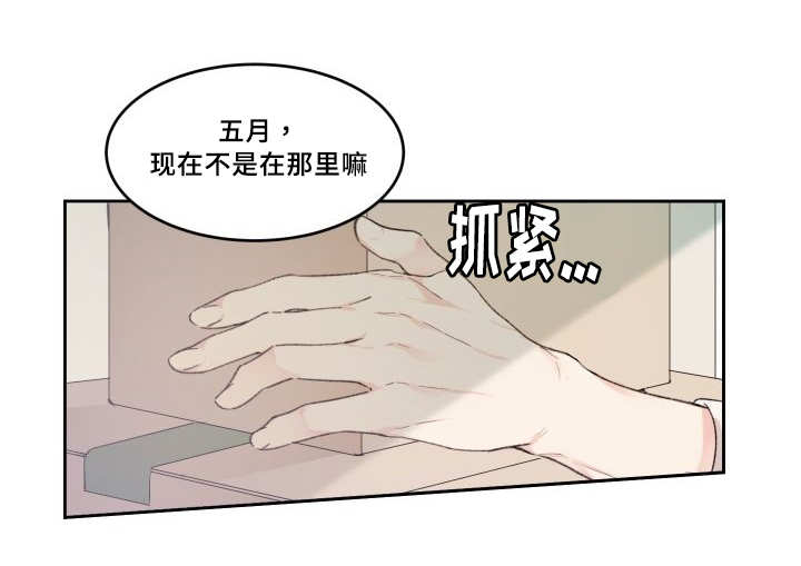 猫的项圈和人戴的项圈有什么区别漫画,第48章：想要见他1图