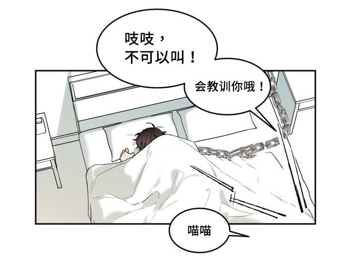 猫的项圈免费在线阅读漫画,第28章：生气了吗1图