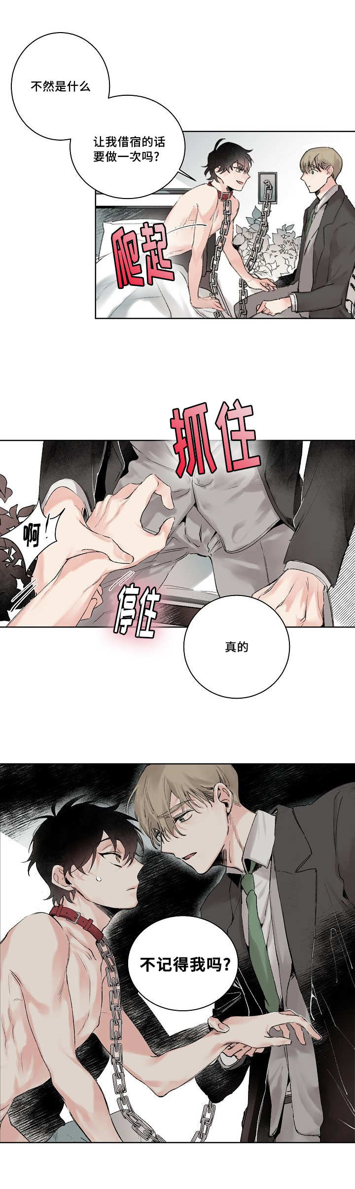 猫的项圈怎么剪下来漫画,第2章：不记得我吗1图