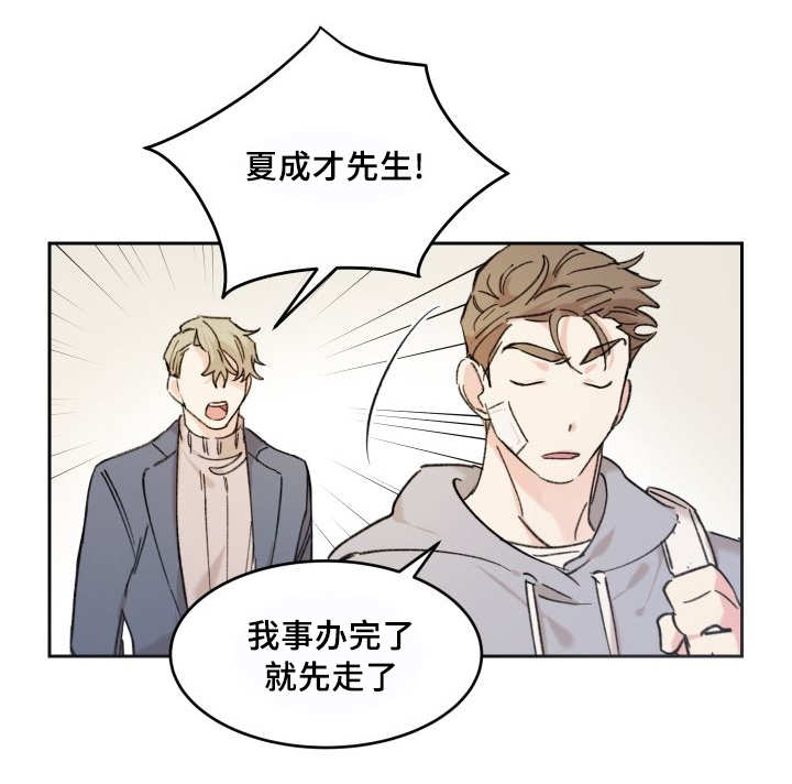 猫的项圈怎么戴漫画,第39章：情敌见面1图