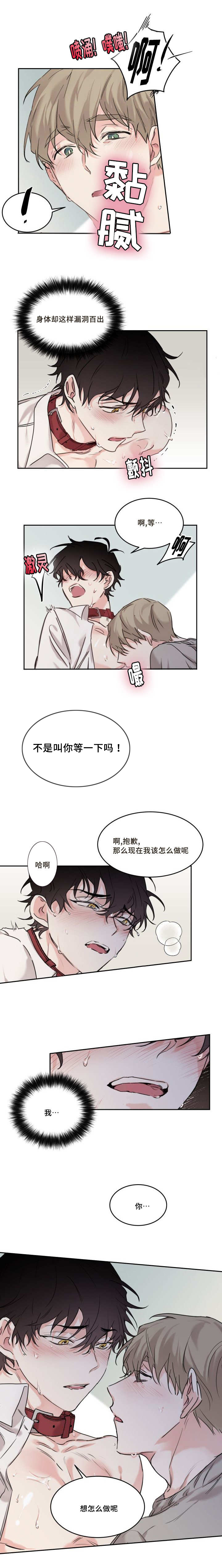 猫的项圈高颜值漫画,第12章：想怎么做呢1图