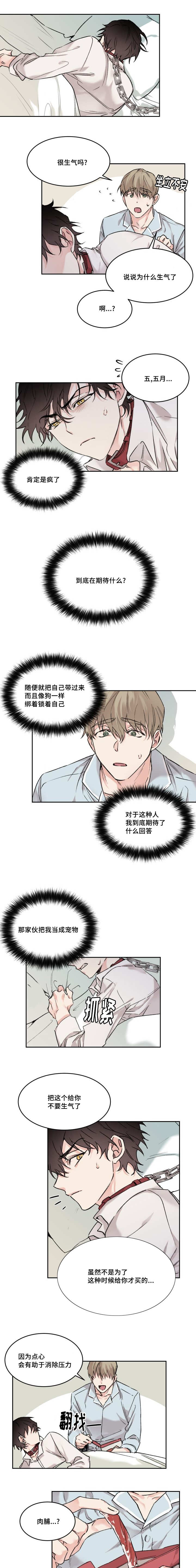 猫的项圈怎么摘出来漫画,第15章：不记得我2图