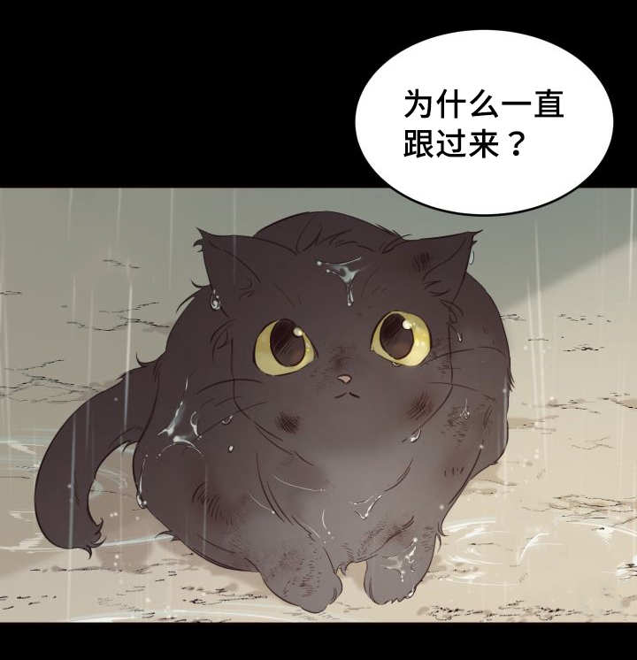 猫的项圈怎么做漫画,第26章：不然就杀了1图