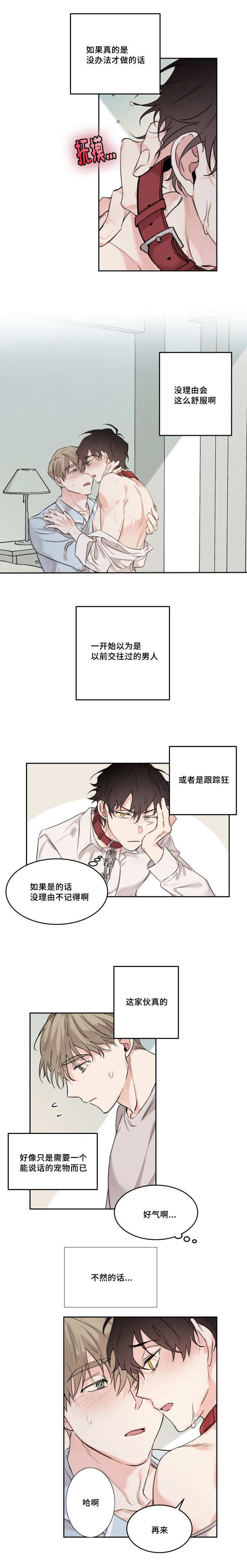 猫的项圈叫什么名漫画,第17章：你的名字2图