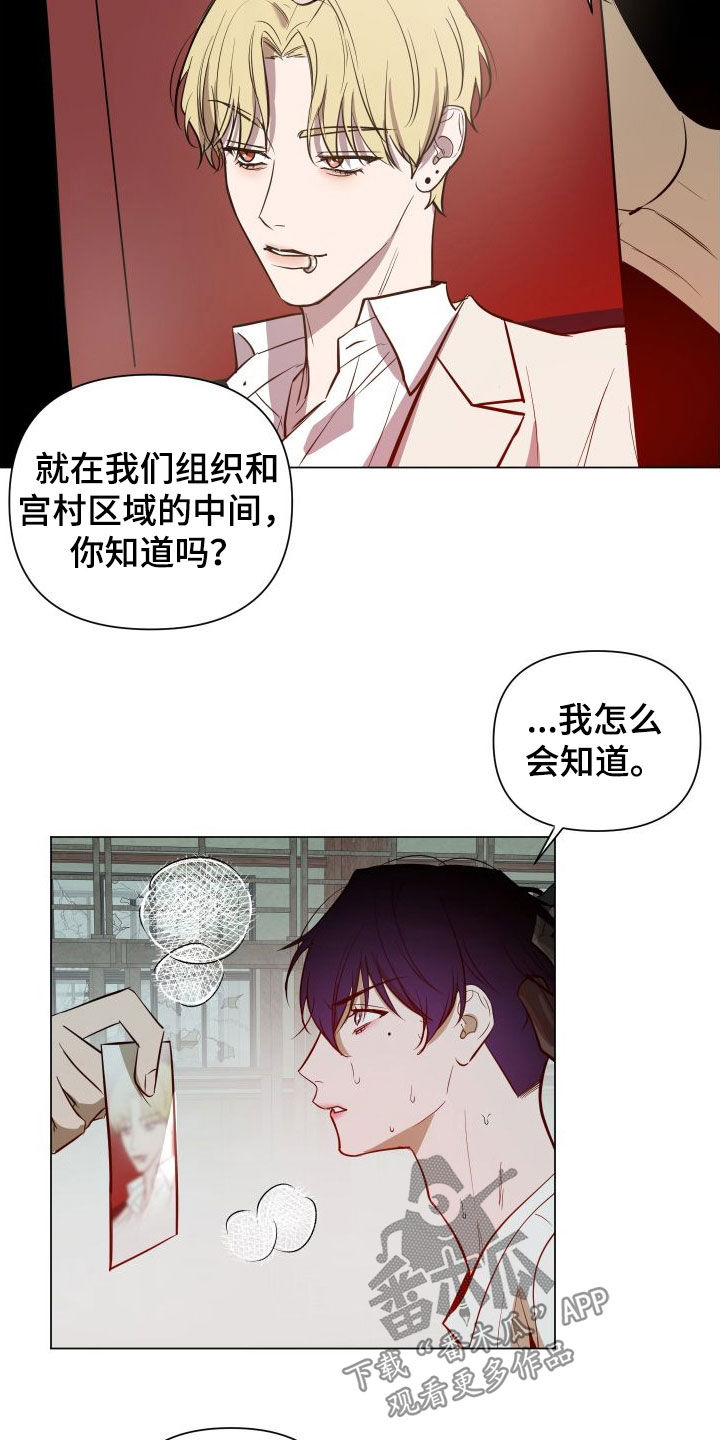 曙光之地个人军功如何获得漫画,第39章：目的2图